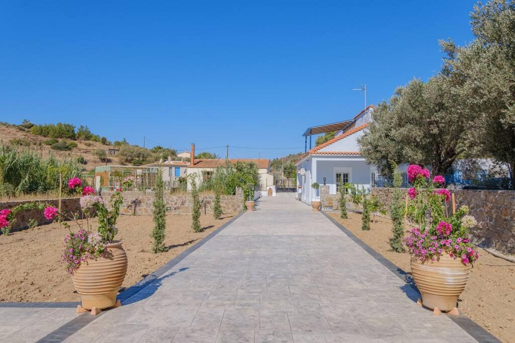 Lefkathia Beach Villa - Gated Beach-Front Private Villa At Lefkathia Beach, Chios! Volissos Exteriör bild